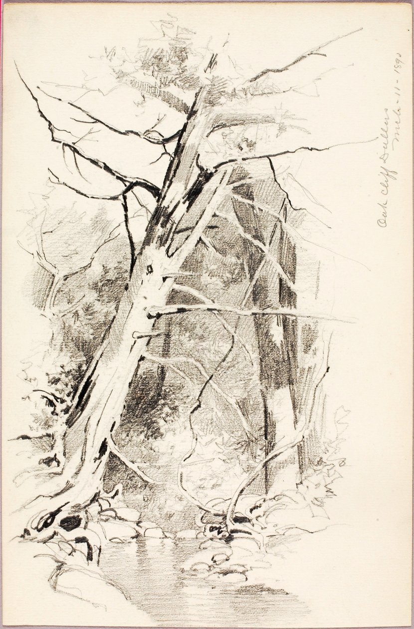 Oak Cliff, Dallas by George Elbert Burr