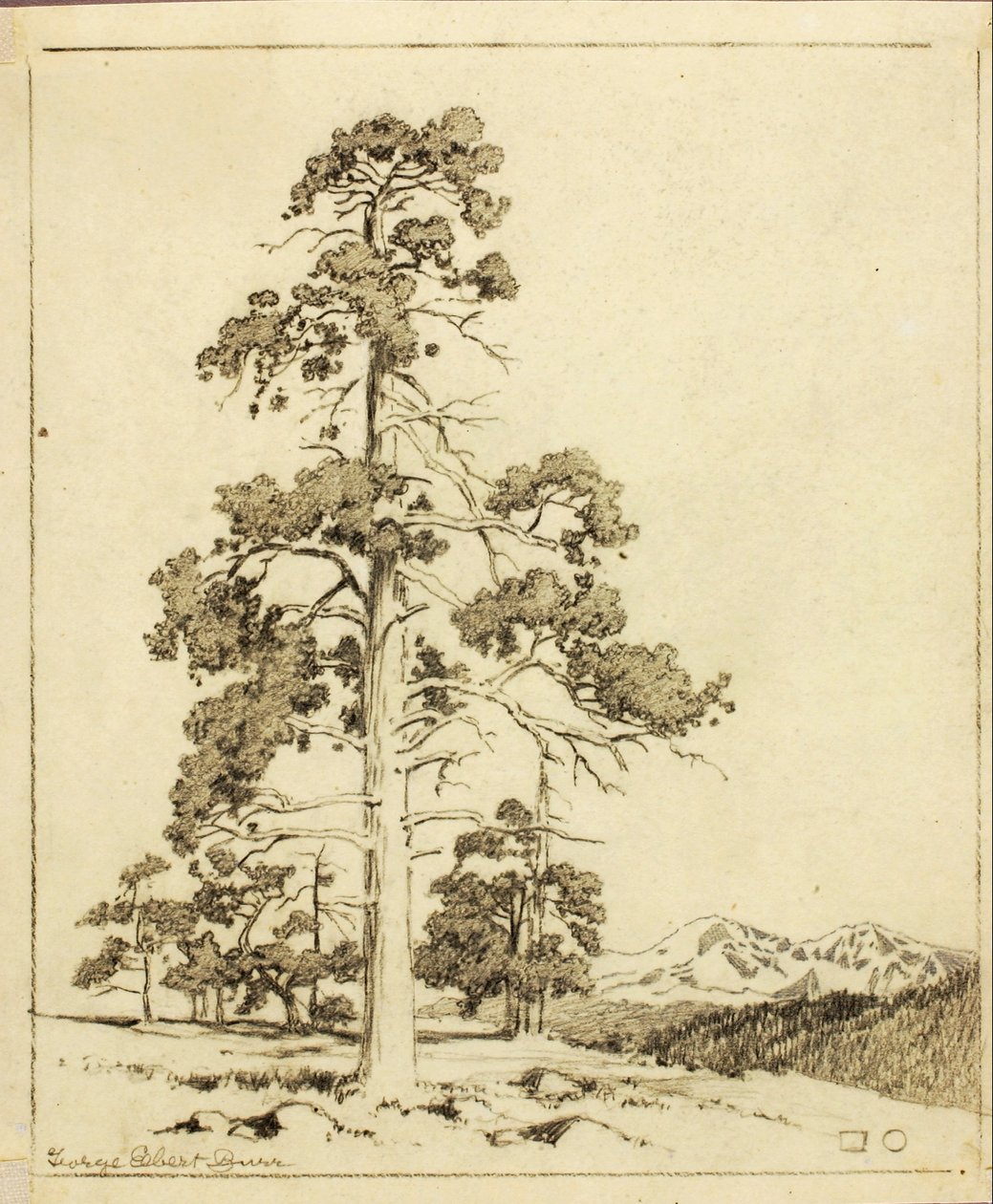 Untitled (transfer drawing for print) by George Elbert Burr