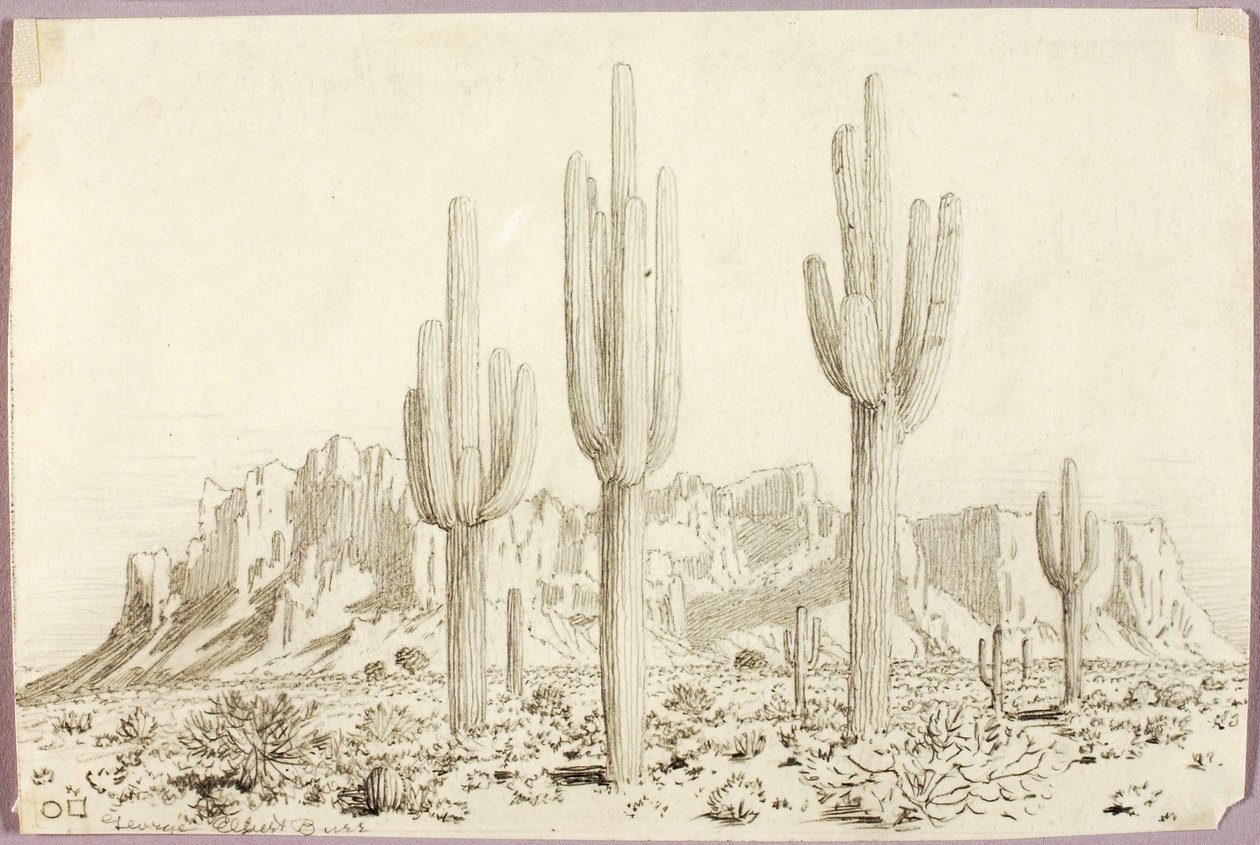 Untitled by George Elbert Burr