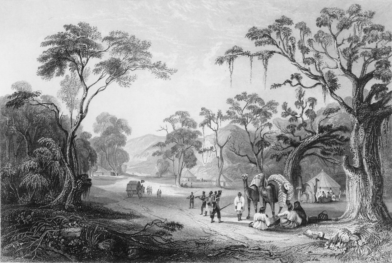 Entrance to the Keree Pass by George Francis White