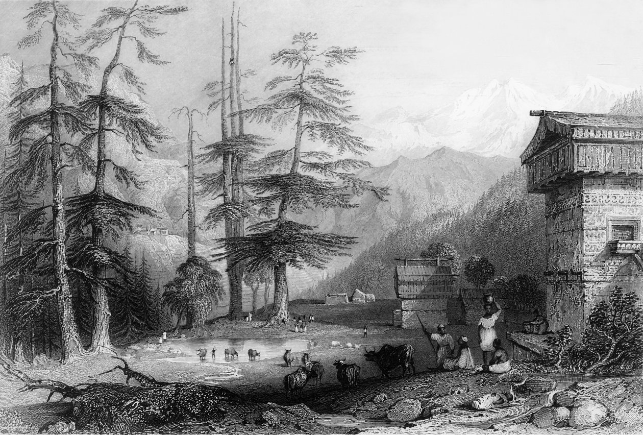 Village of Koghera and Deodar Forest, near the Choor, 1838 by George Francis White