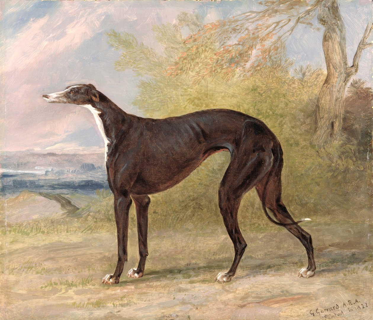 One of George Lane Fox