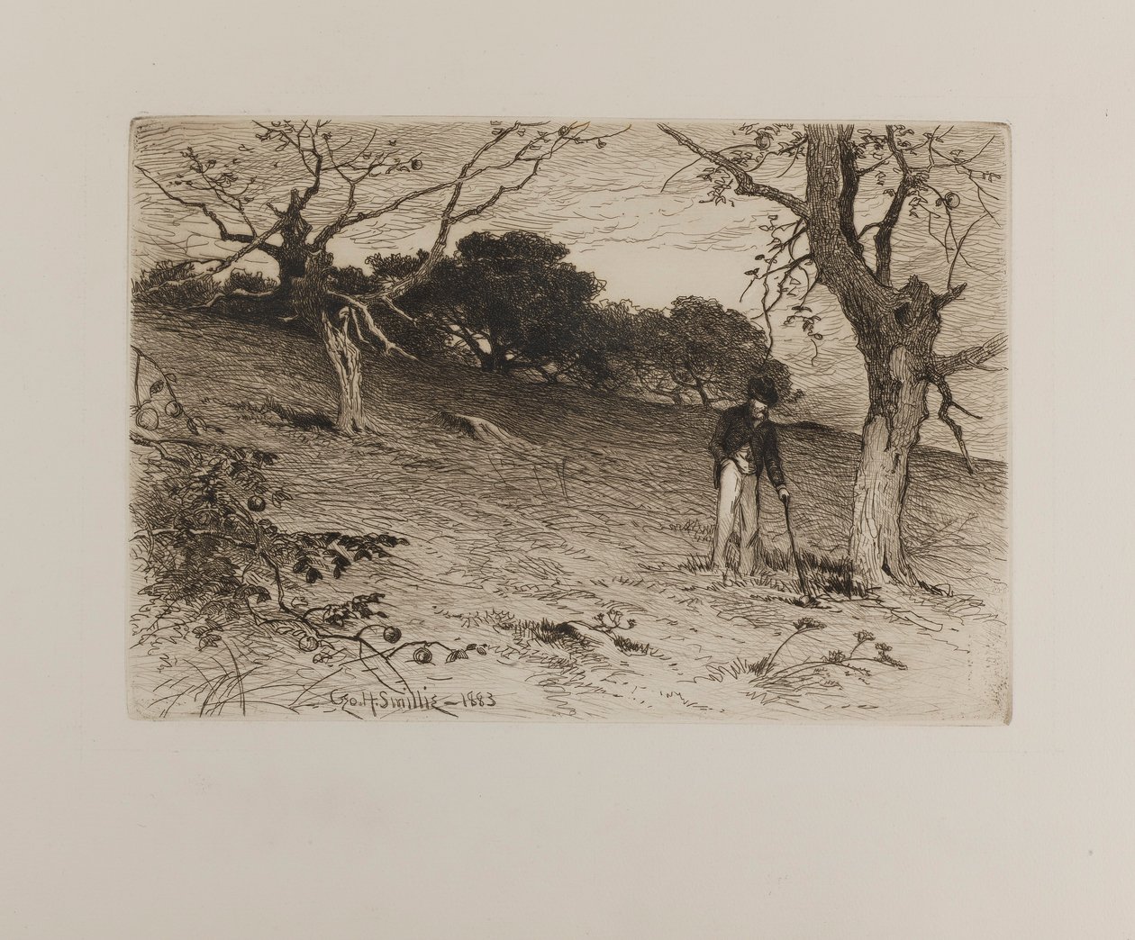 An Old New England Orchard by George H. Smillie