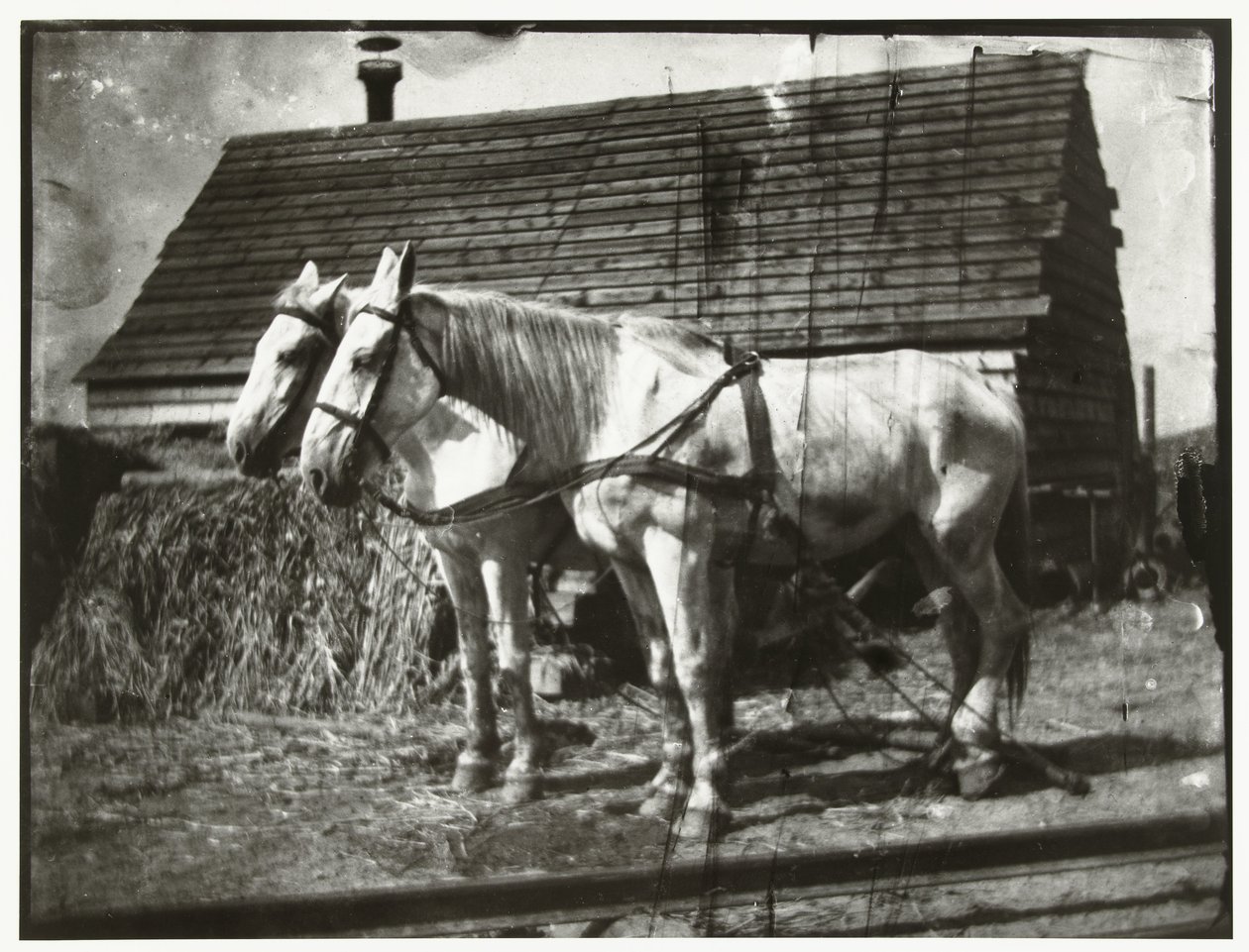 Horses on the Cruquiusweg by George Hendrik Breitner