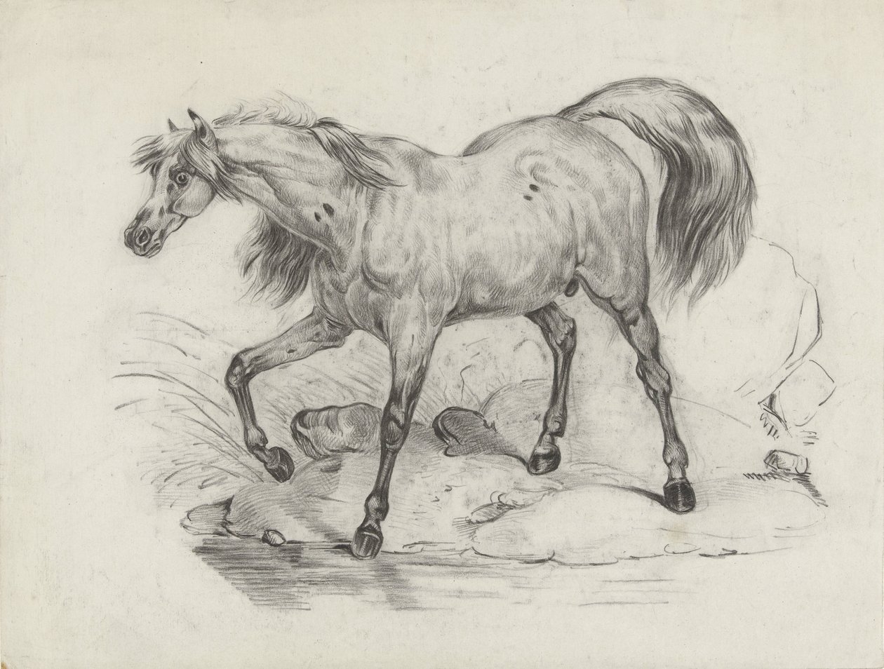 Standing Horse, Facing Left by George Hendrik Breitner