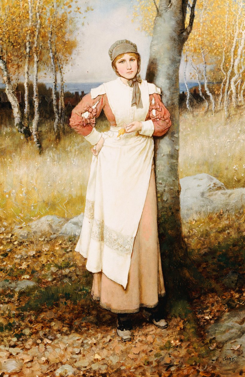 A Rose in New England by George Henry Boughton