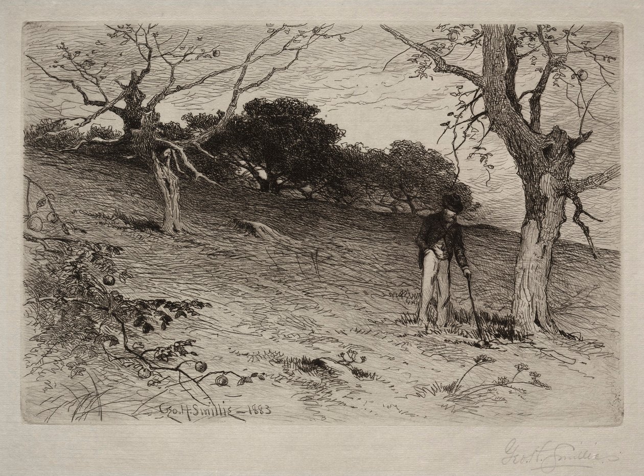 Landscape (1883) by George Henry Smillie