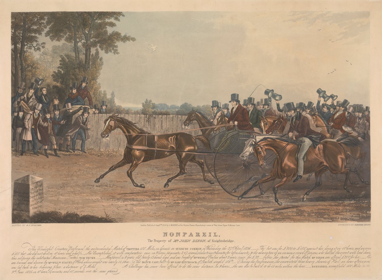 Nonpareil by George Hunt