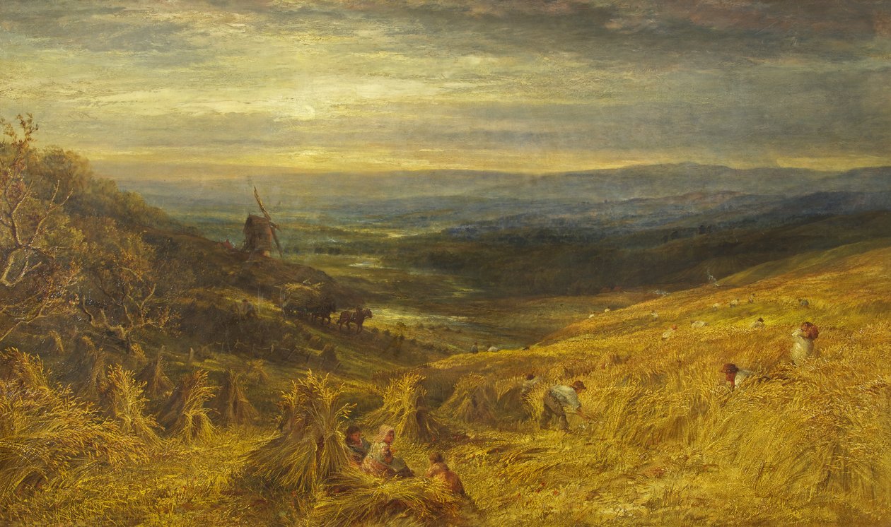 A Surrey Cornfield, c.1877 by George Lucas