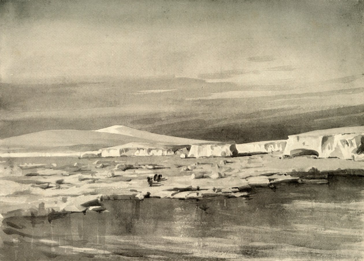 Bay of Whales, or Balloon Bight by George Marston