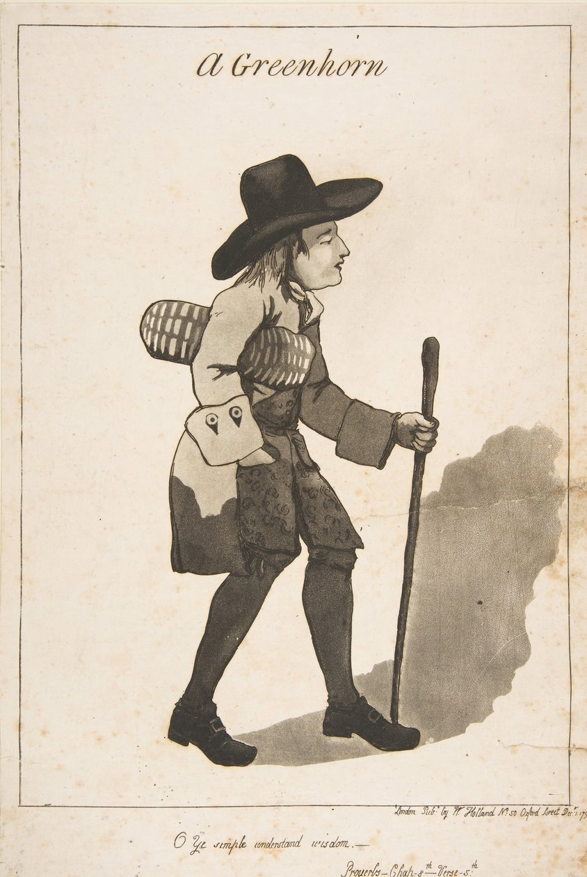 A Greenhorn by George Moutard Woodward