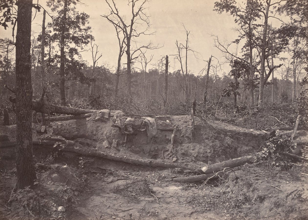 Battle Field of New Hope Church, GA, No. 2 by George N. Barnard