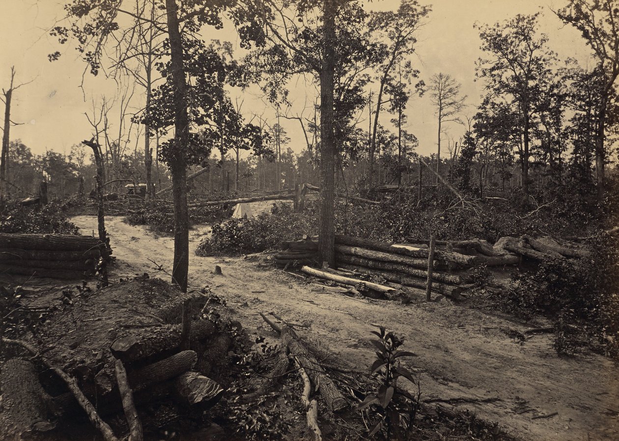 Battle Field of New Hope Church, Georgia, No. 1 by George N. Barnard