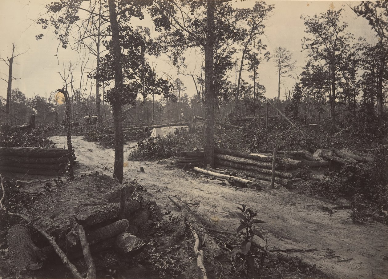 Battle Field of New Hope Church, Georgia No. 1 by George N. Barnard