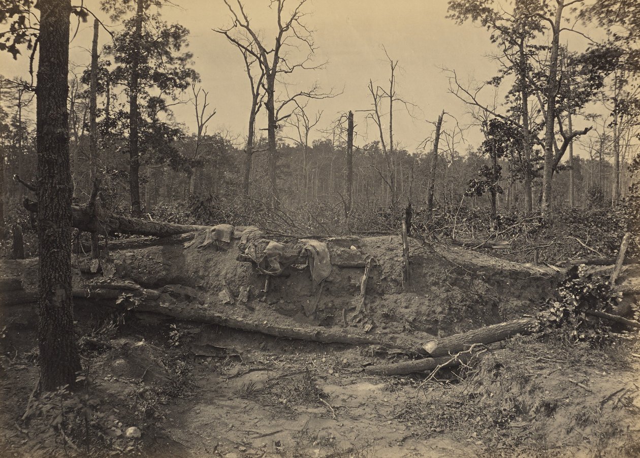 Battle Field of New Hope Church, Georgia, No. 2 by George N. Barnard