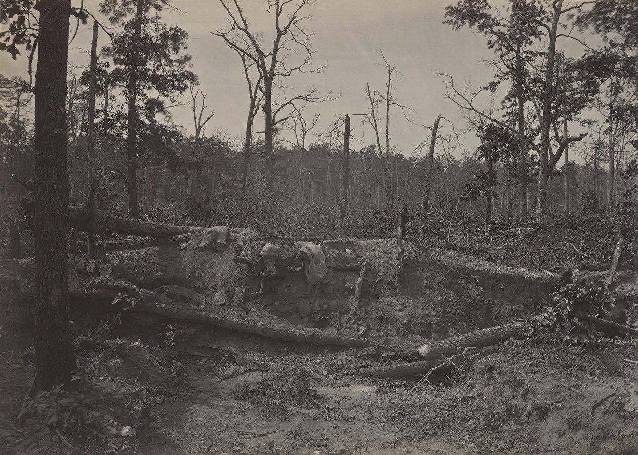 Battle Field of New Hope Church, Georgia No. 2, 1860s by George N. Barnard