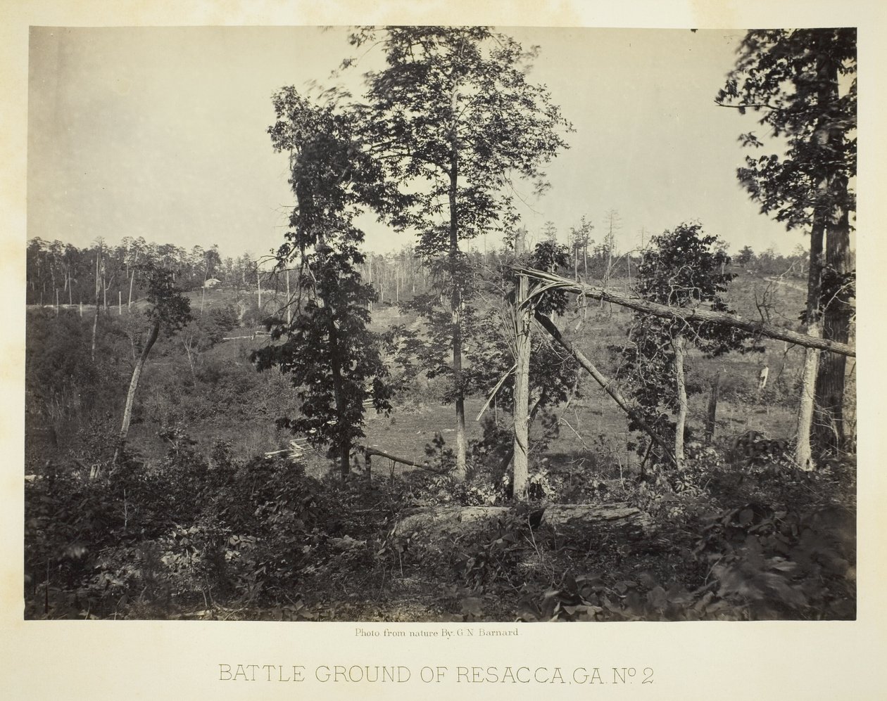 Battle Ground of Resacca, GA, No. 2 by George N. Barnard