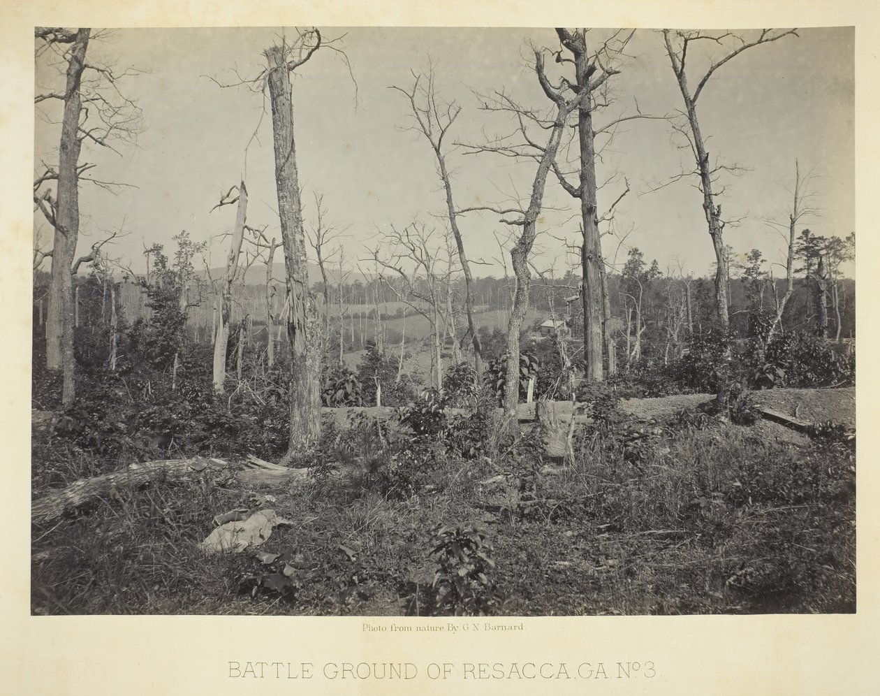 Battle Ground of Resacca, GA, No. 3, 1866 by George N. Barnard
