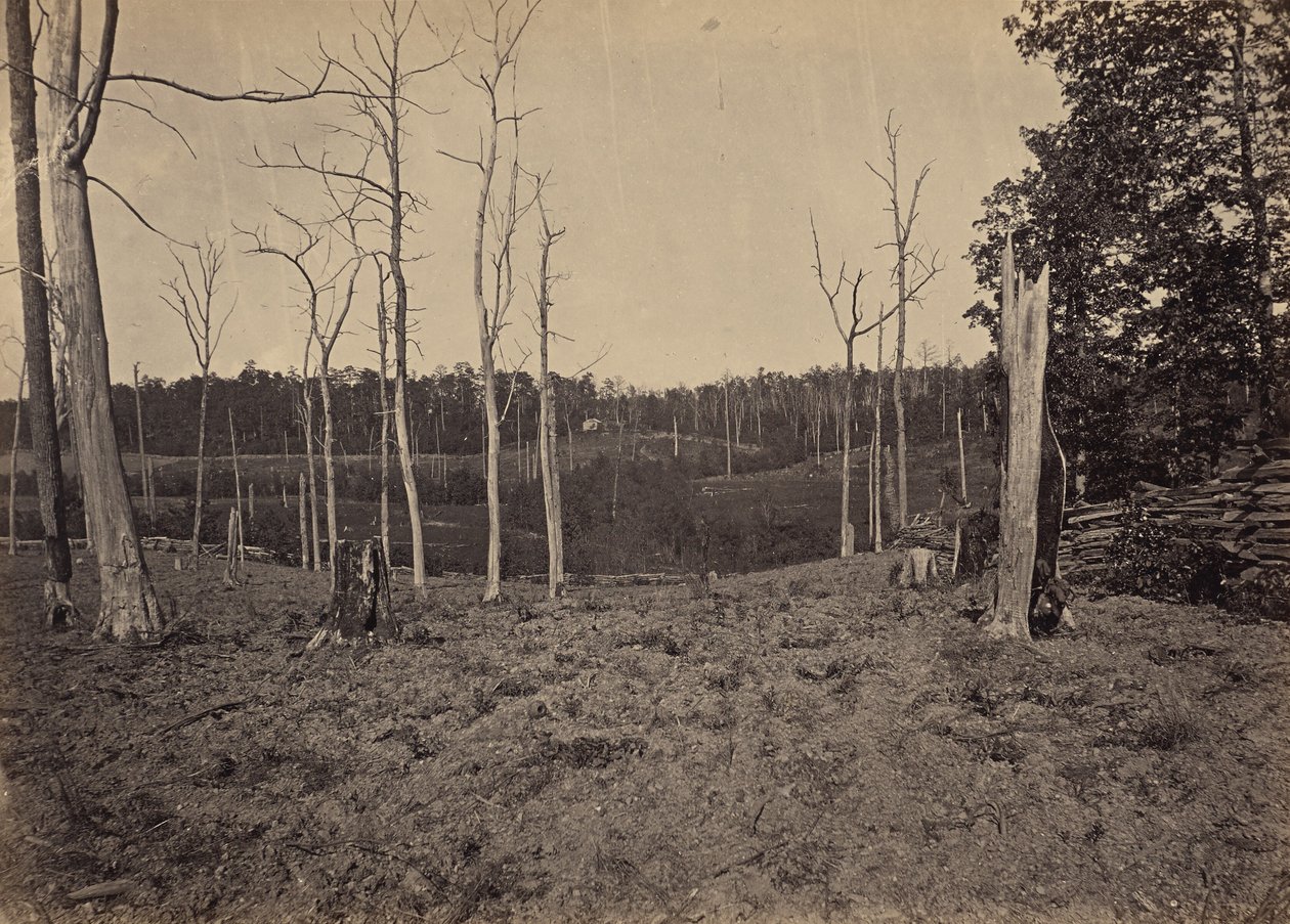 Battle Ground of Resacca, Georgia, No. 1 by George N. Barnard