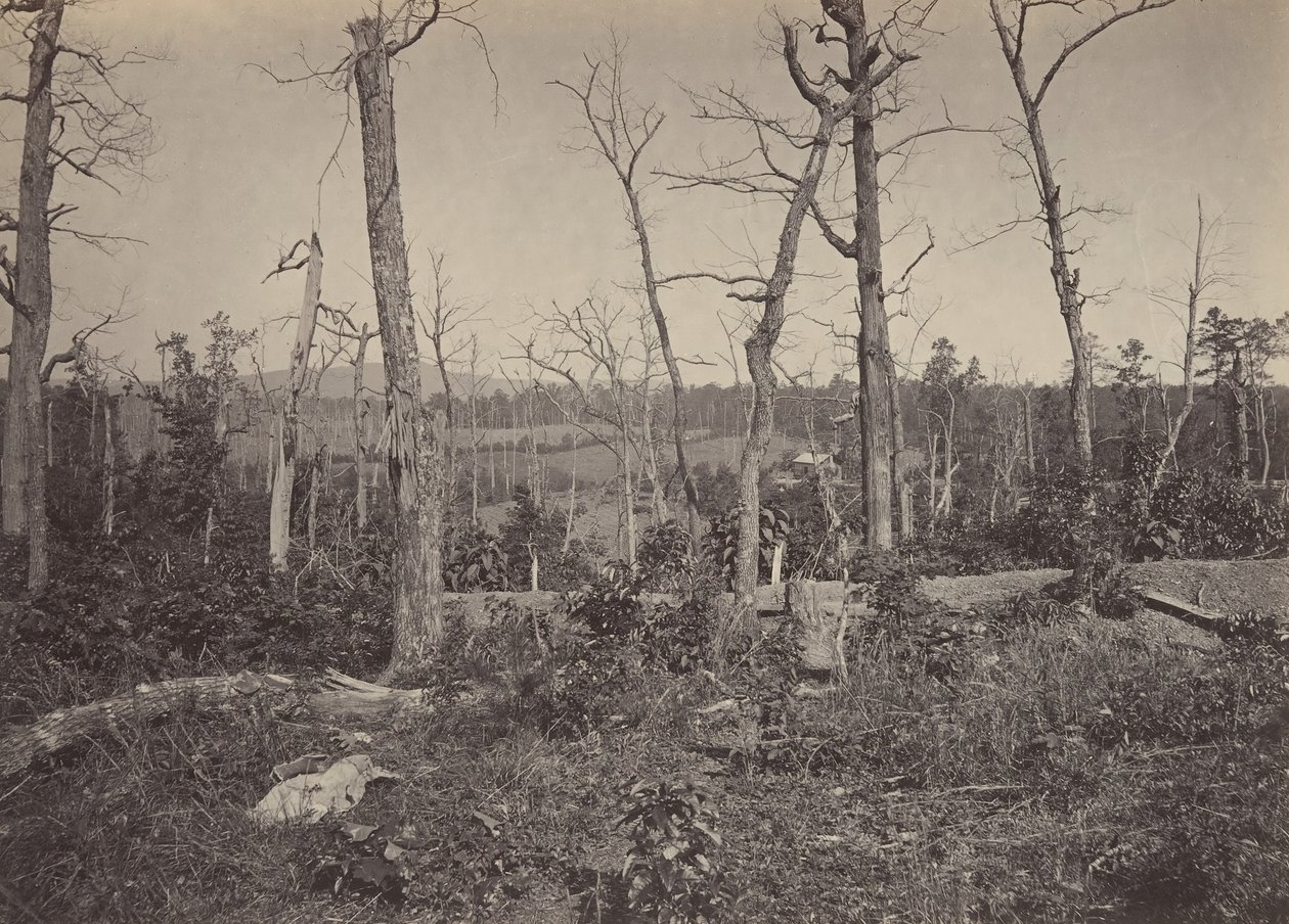 Battle Ground of Resacca, Georgia by George N. Barnard