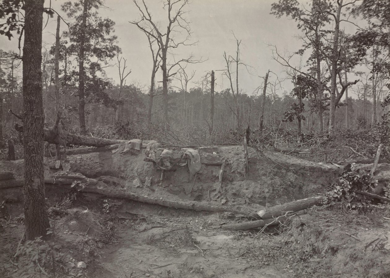Battlefield of New Hope Church, Georgia, No. 2, 1865-1866 by George N. Barnard