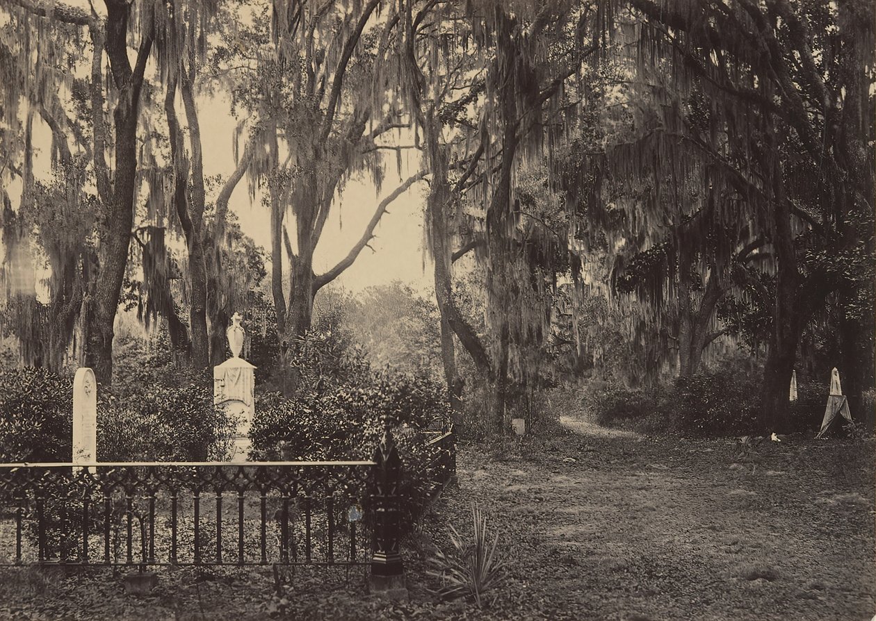 Buen-Ventura, Savannah, Georgia by George N. Barnard