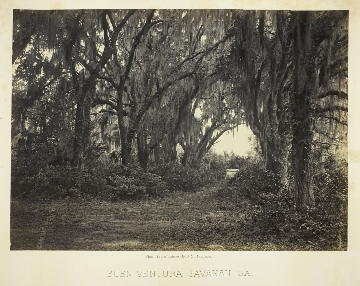 Buen-Ventura Savannah, Ga., 1866 by George N. Barnard