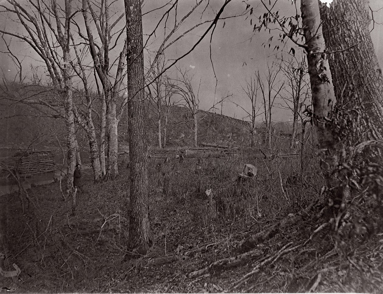 Bull Run, Virginia, 1861-62 by George N. Barnard