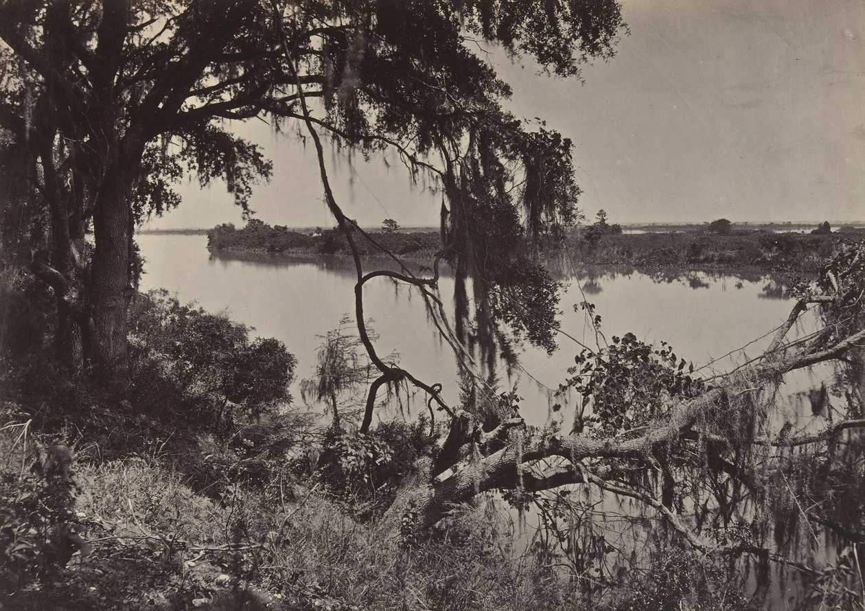 Savannah River, Near Savannah, Georgia by George N. Barnard