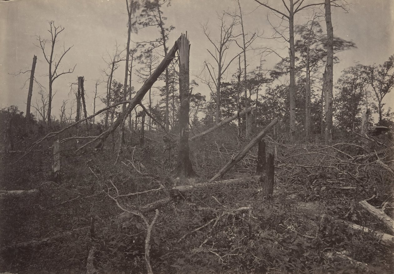 The Hell Hole New Hope Church, Georgia by George N. Barnard