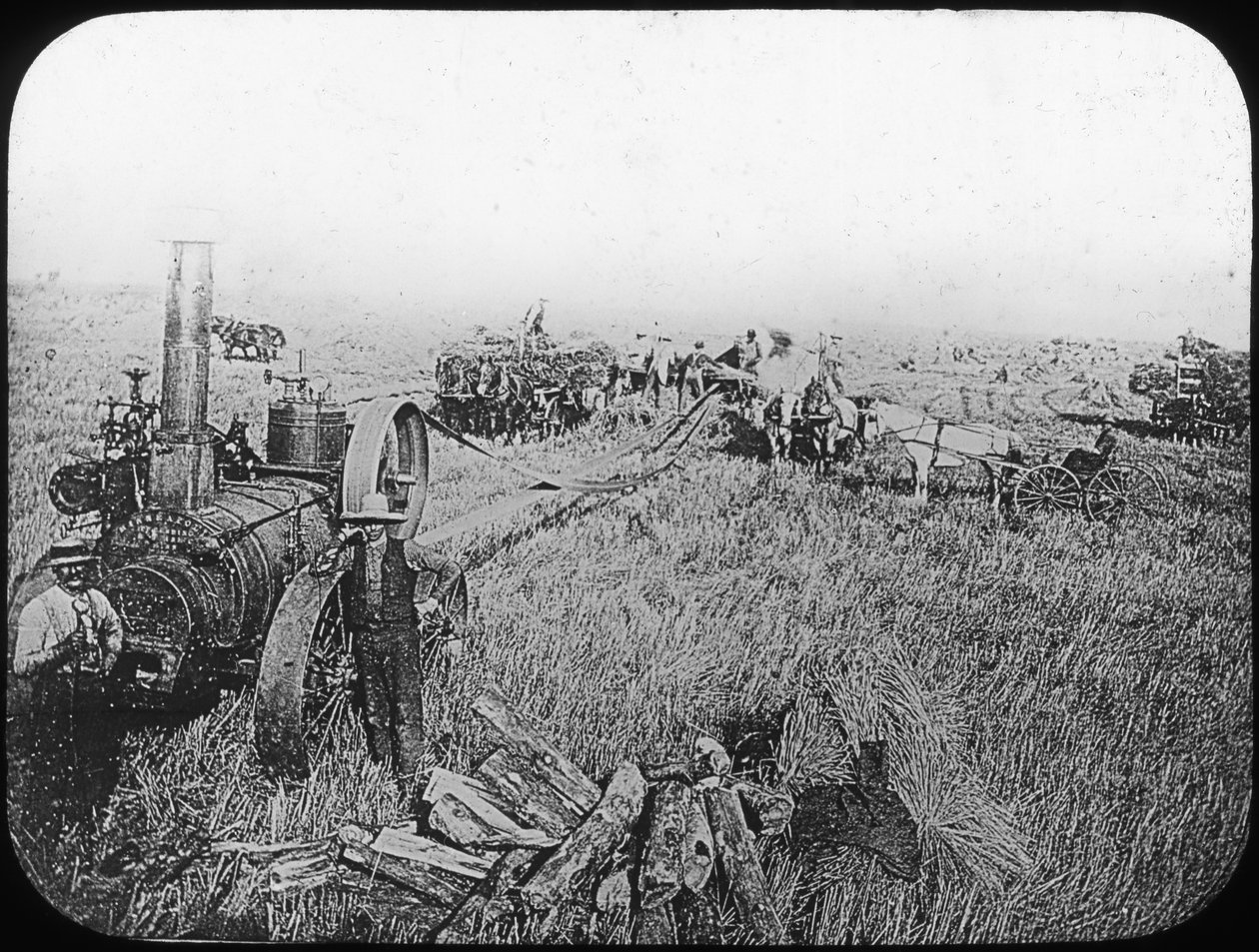 Harvest Scene on the North American Prairies, Late 19th or Early 20th Century by George Philip and Son Ltd