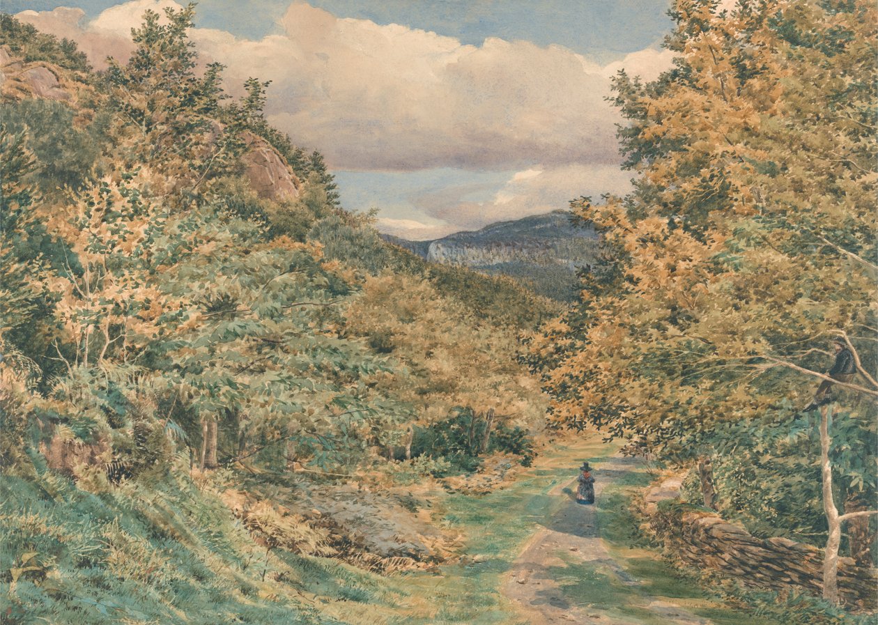 A Road Near Bettws-y-Coed by George Price Boyce