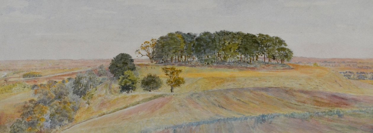 One of the Wittenham Clumps or Sinodun Hills, Berkshire, c.1870-90 by George Price Boyce