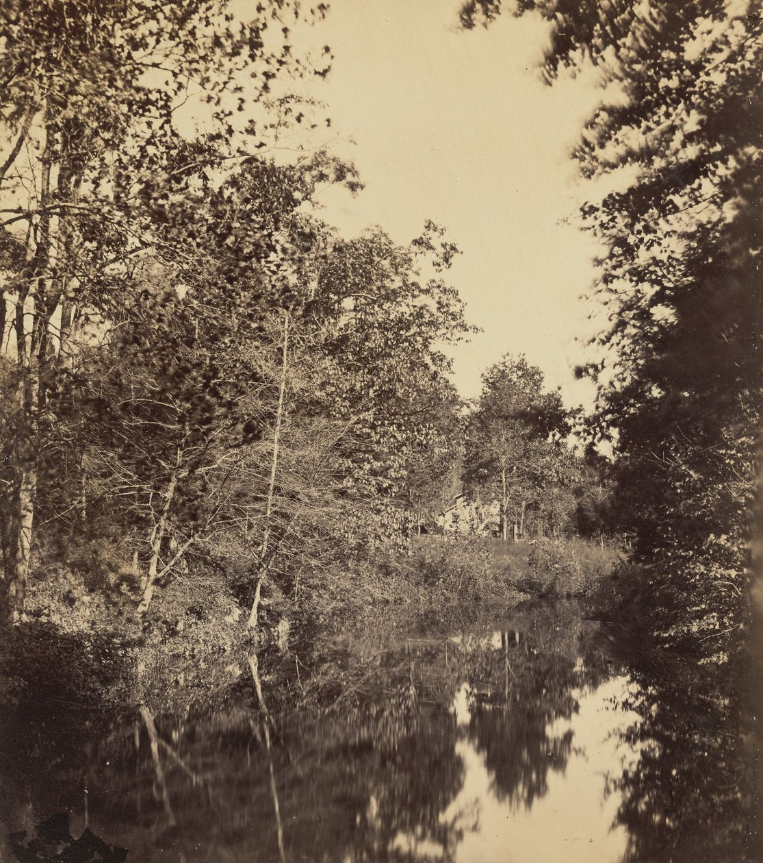 The Dell, 1863 by George Rockwood Gardner