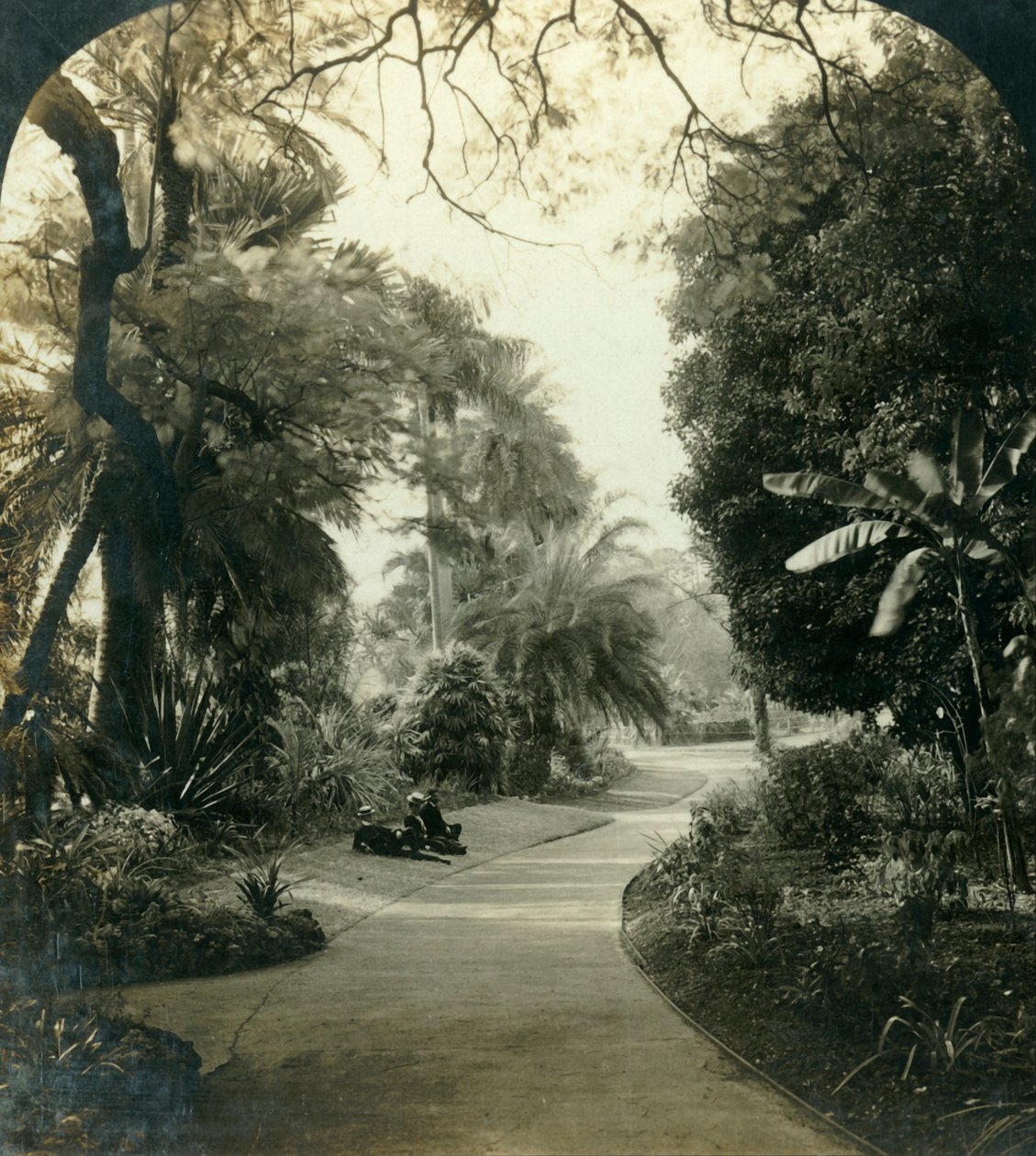 Pathway in the Queens Park, Brisbane, Australia by George Rose
