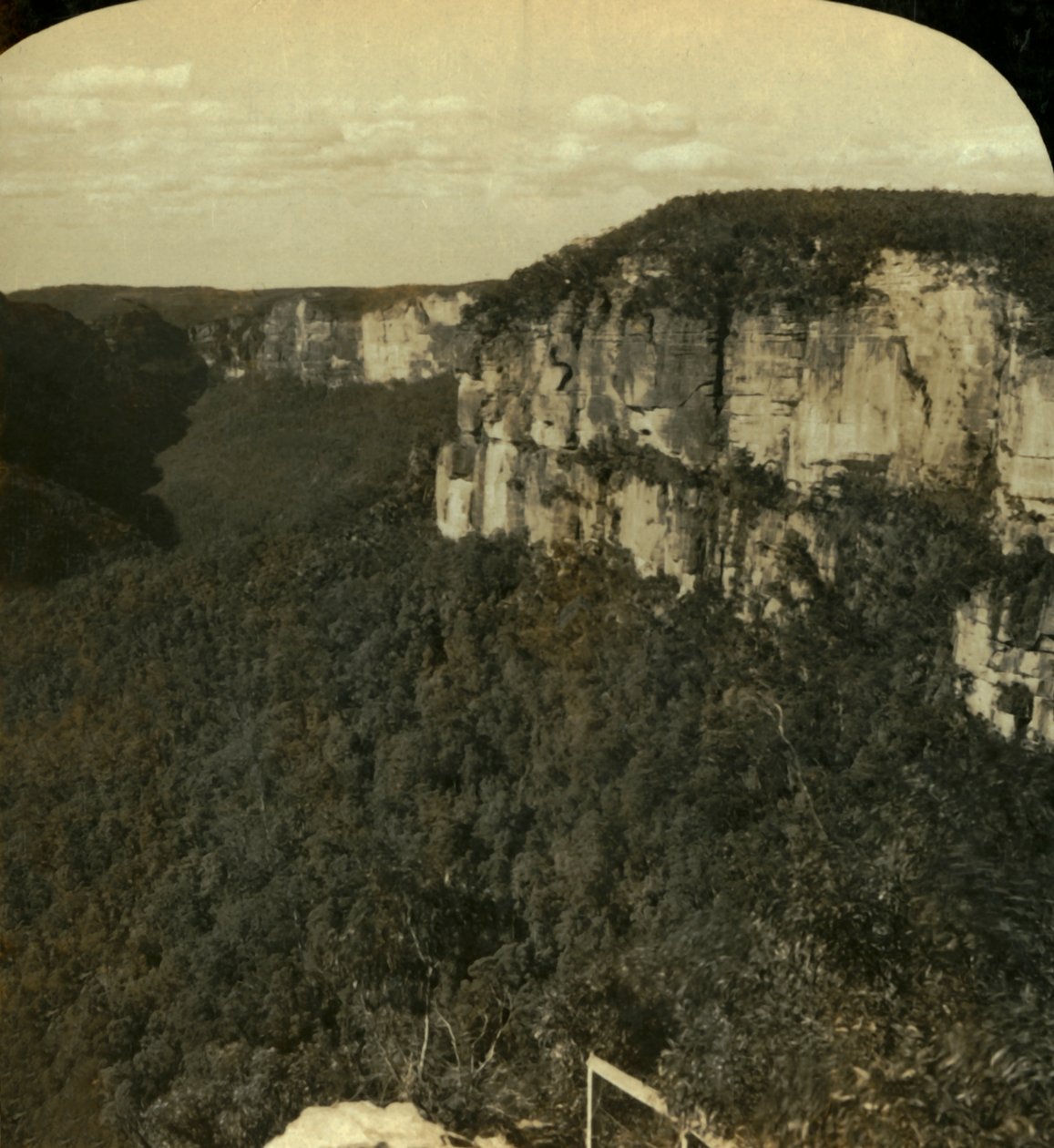 The Grose Valley, Blue Mountains, N.S.W., Australia, 1909 by George Rose