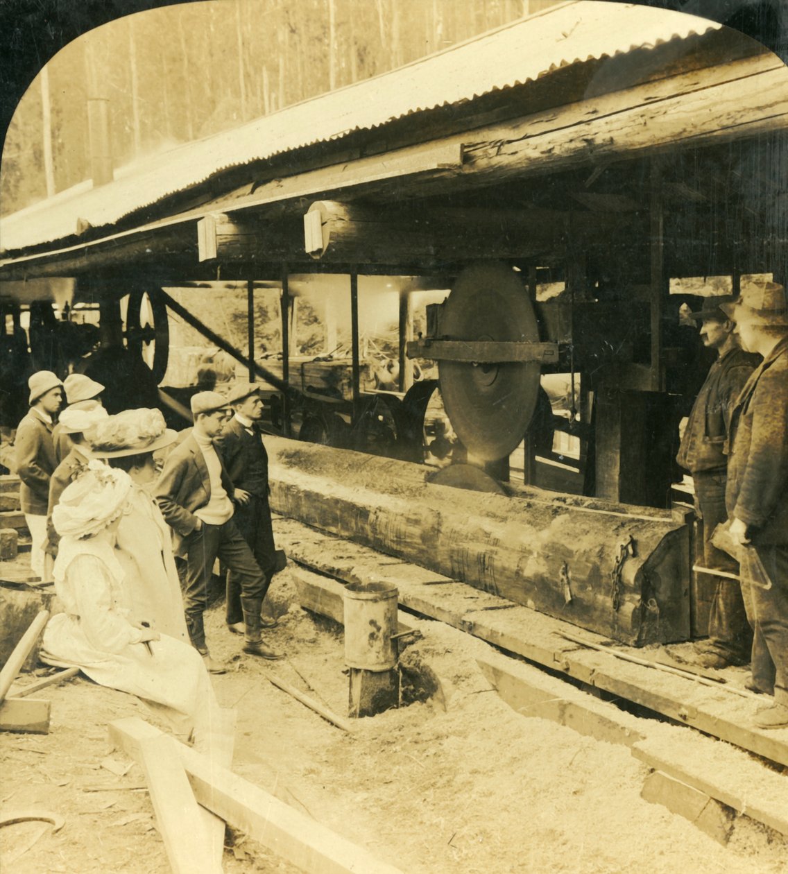 The Timber Industry, Warburton, Victoria, Australia, 1909 by George Rose
