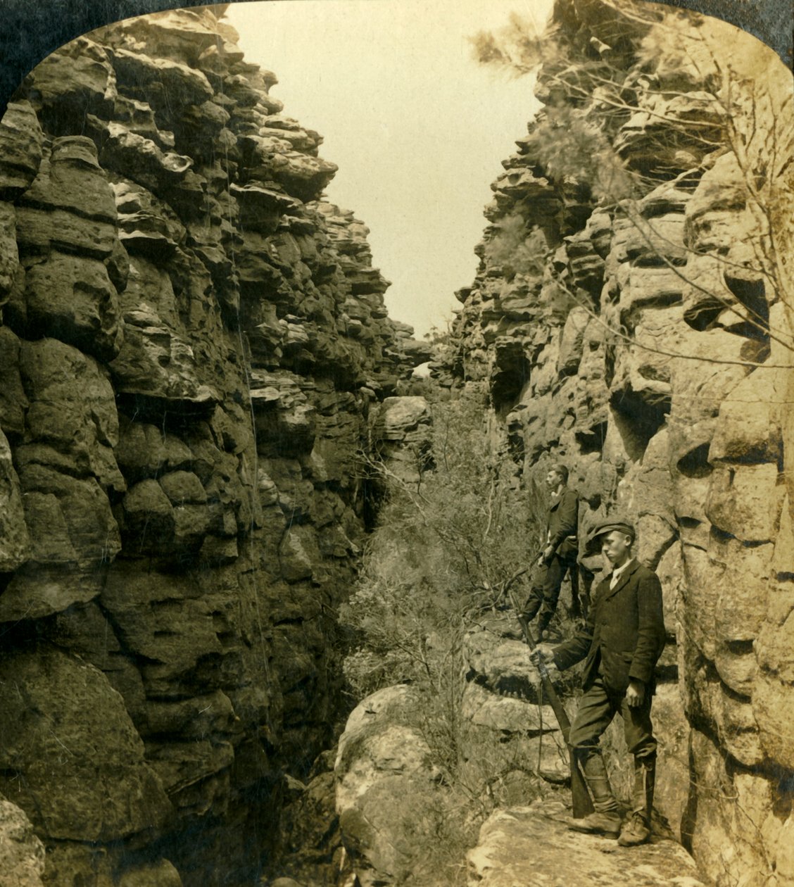 Wonderland Avenue, or the Silent Street, Grampians, Victoria, Australia, 1908 by George Rose