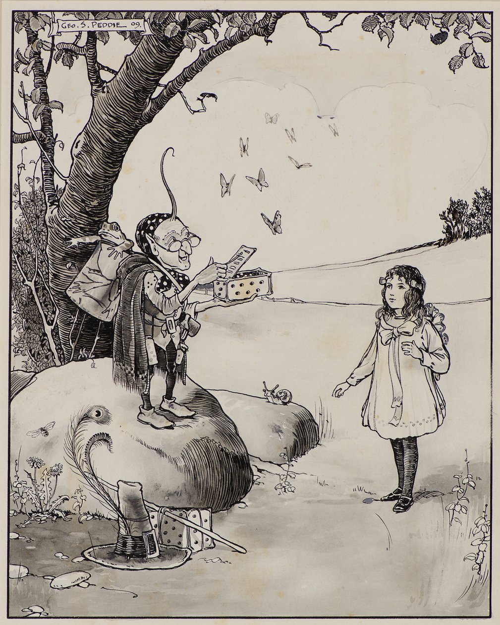 Magic Box of Butterflies by George Salmond Peddie