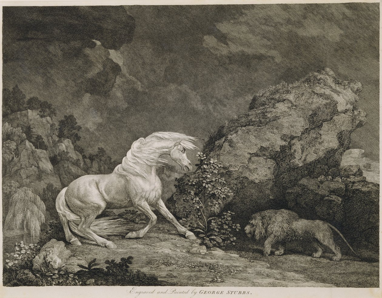 A Horse Affrighted by a Lion, engraved by the artist by George Stubbs