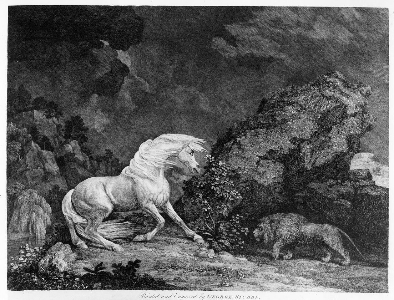 A Horse Affrighted by a Lion, engraved by the artist by George Stubbs