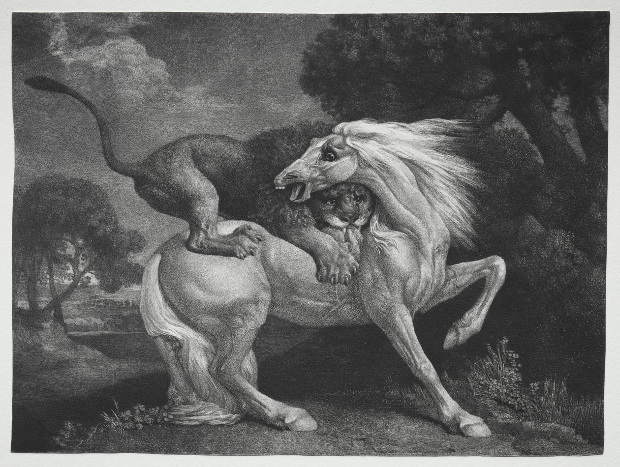 A Horse Attacked by a Lion by George Stubbs