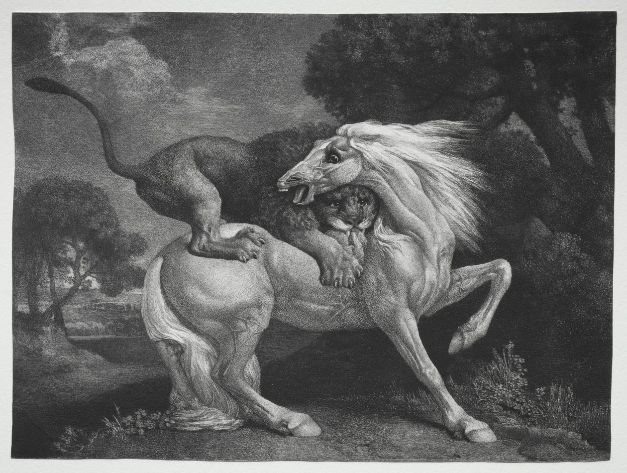 A Horse Attacked by a Lion, 1788 by George Stubbs