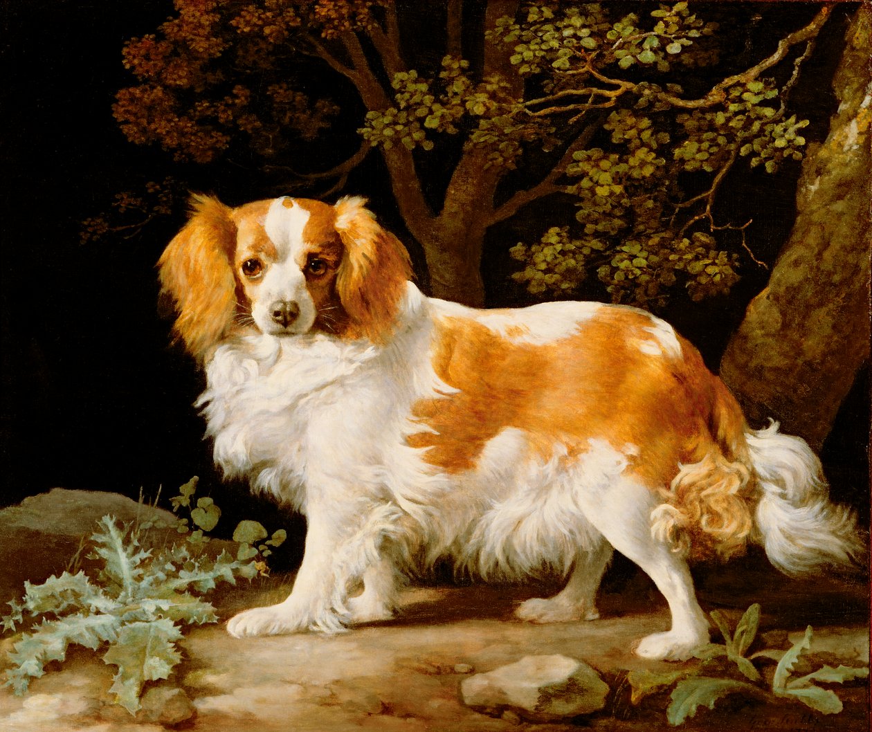 A Liver and White King Charles Spaniel in a Wooded Landscape by George Stubbs