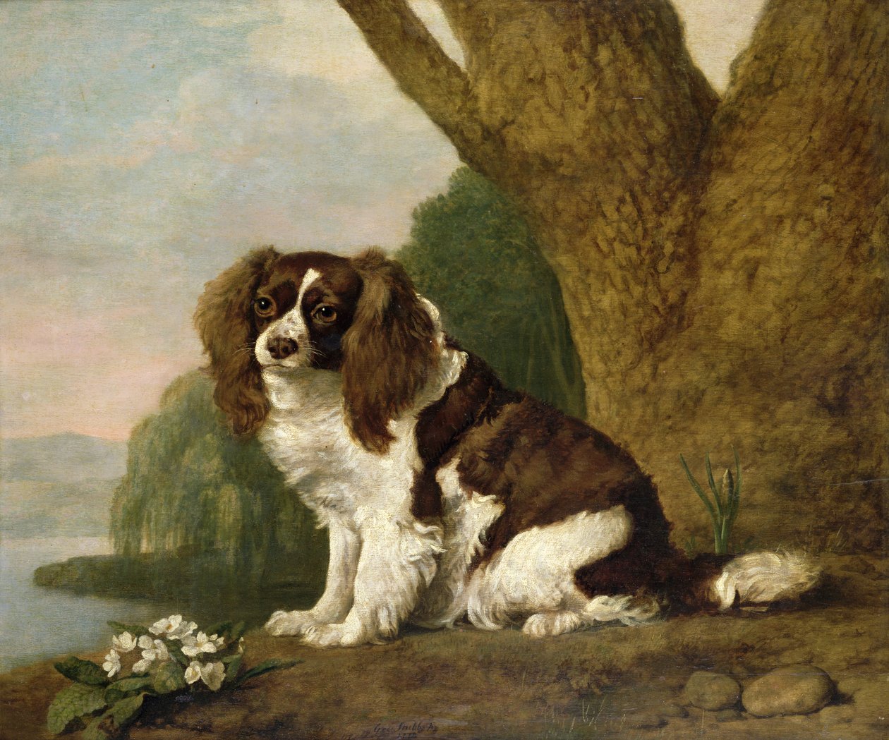 Fanny, a Brown and White Spaniel by George Stubbs