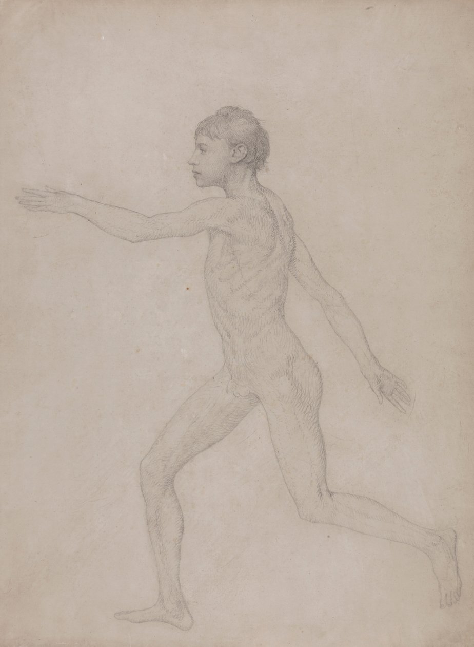 Human Figure, Lateral View by George Stubbs