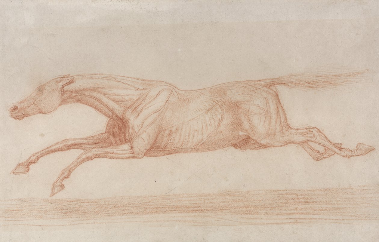 Study of a Racehorse in Action: galloping to the left by George Stubbs