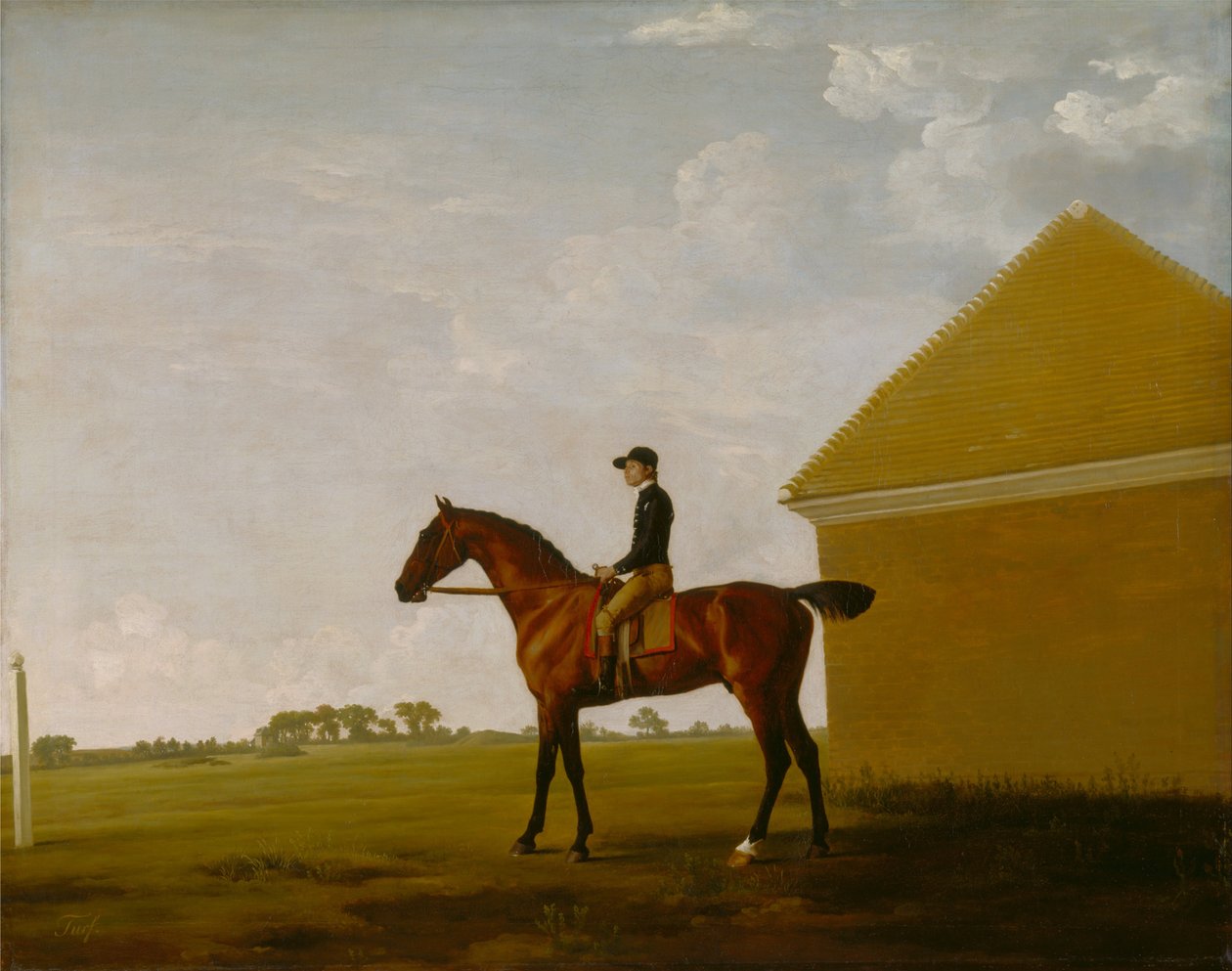 Turf, with Jockey up, at Newmarket by George Stubbs