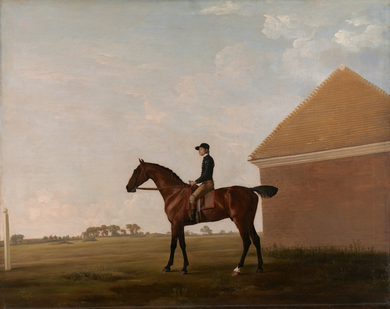 Turf, with Jockey up, at Newmarket by George Stubbs