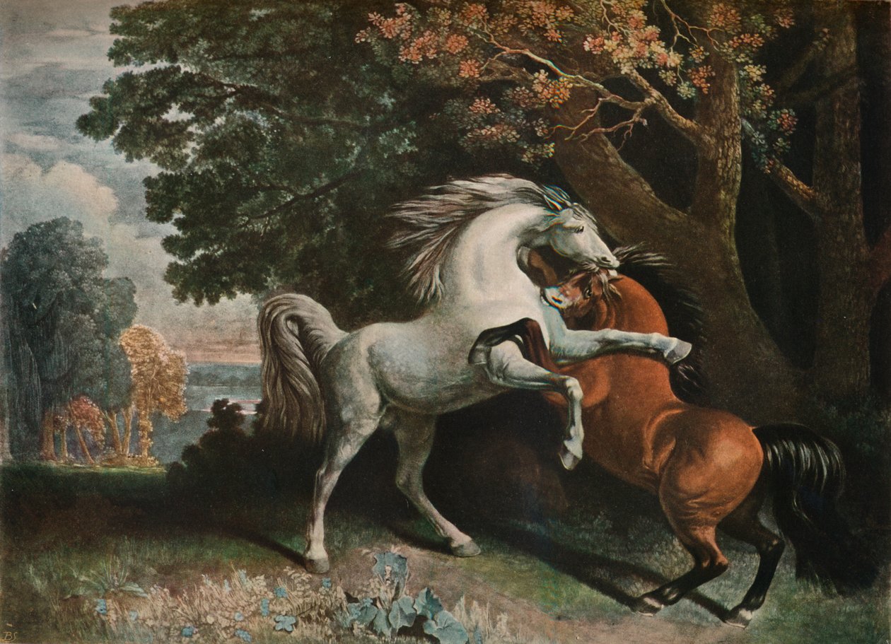 Horses Fighting, c18th Century, 1902 by George Townley Stubbs
